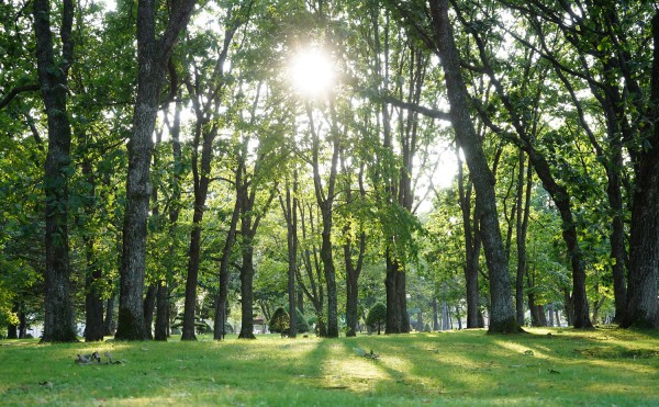大樹町の公園を紹介いたします！！