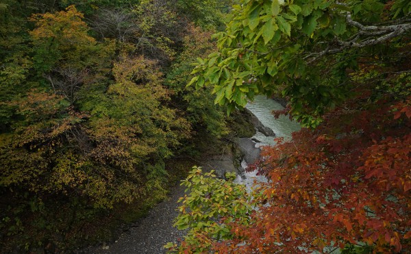「渓石橋」の紅葉状況　(2021年10月1日)