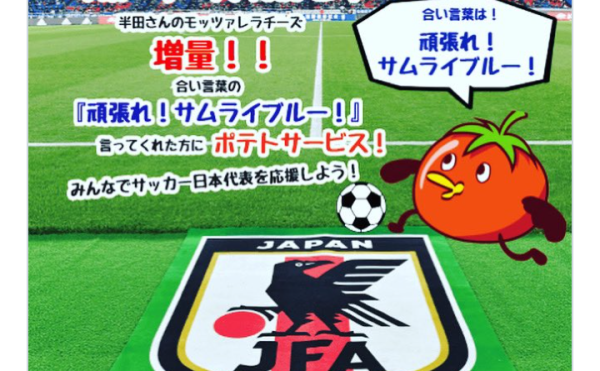 【和風イタリアンちょっと】11/27 テイクアウトピザ 半田ファームモッツァレラ増量！合言葉でフライドポテトも☆