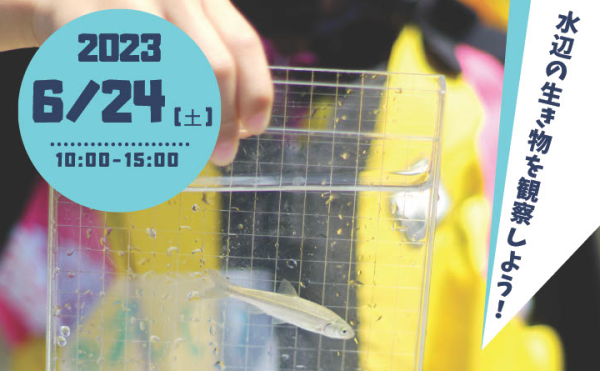 小学生向けDAYCAMP「水辺の生き物探し」参加者募集中！