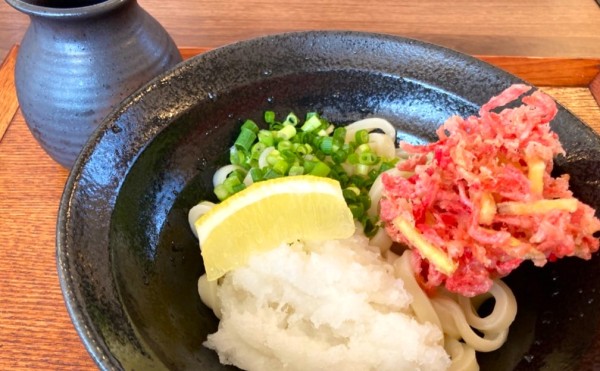 【たいきうどん】リニューアルオープン！6/20までうどん半額キャンペーン開催中！
