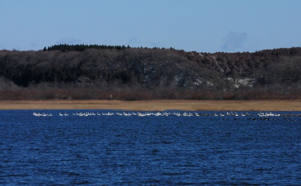 【2025年】オイカマナイトー結氷状況